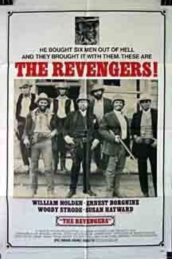 The Revengers Póster