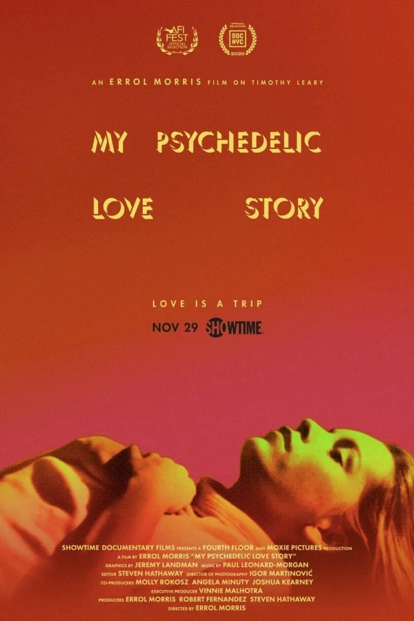 My Psychedelic Love Story Póster
