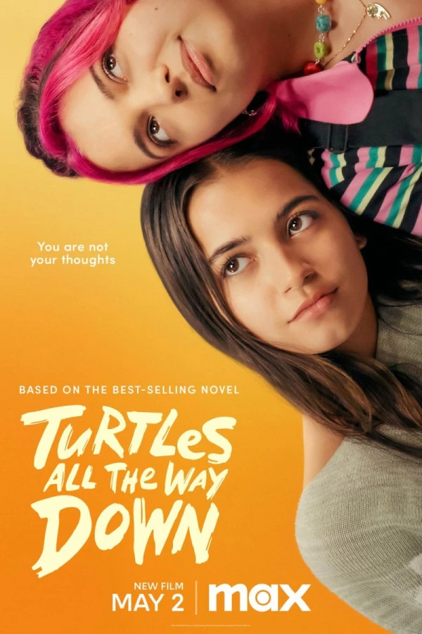 Turtles All the Way Down Póster