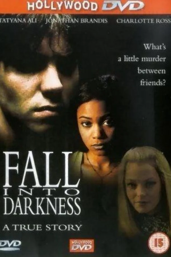 Fall Into Darkness Póster