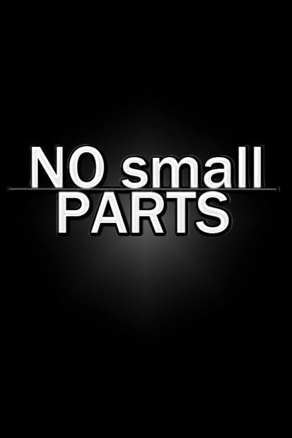 No Small Parts Póster