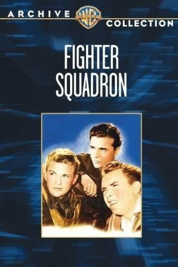 Fighter Squadron Póster