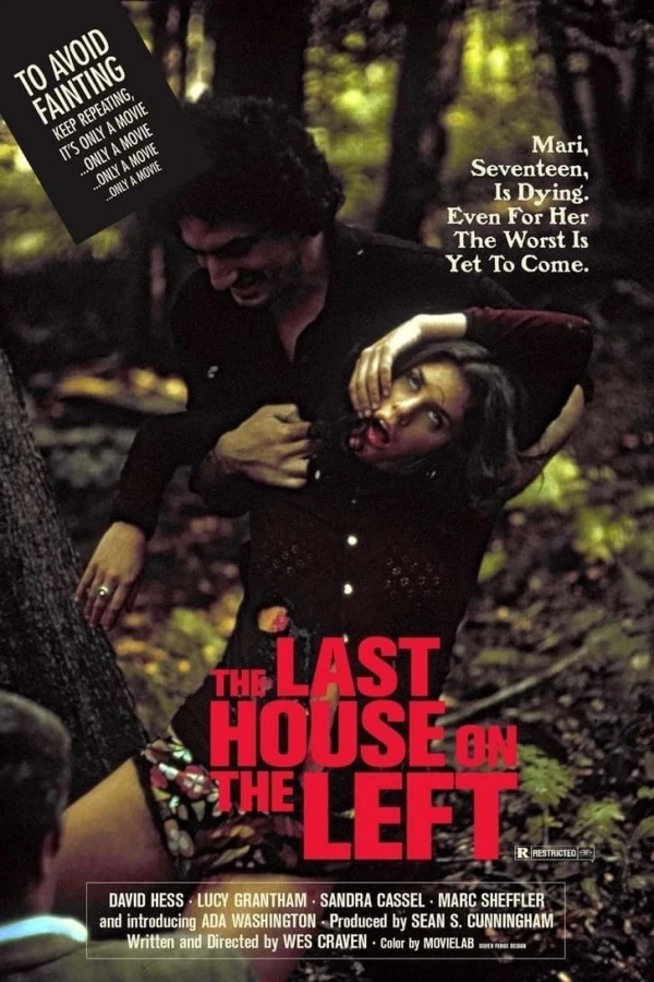 The Last House On the Left Póster