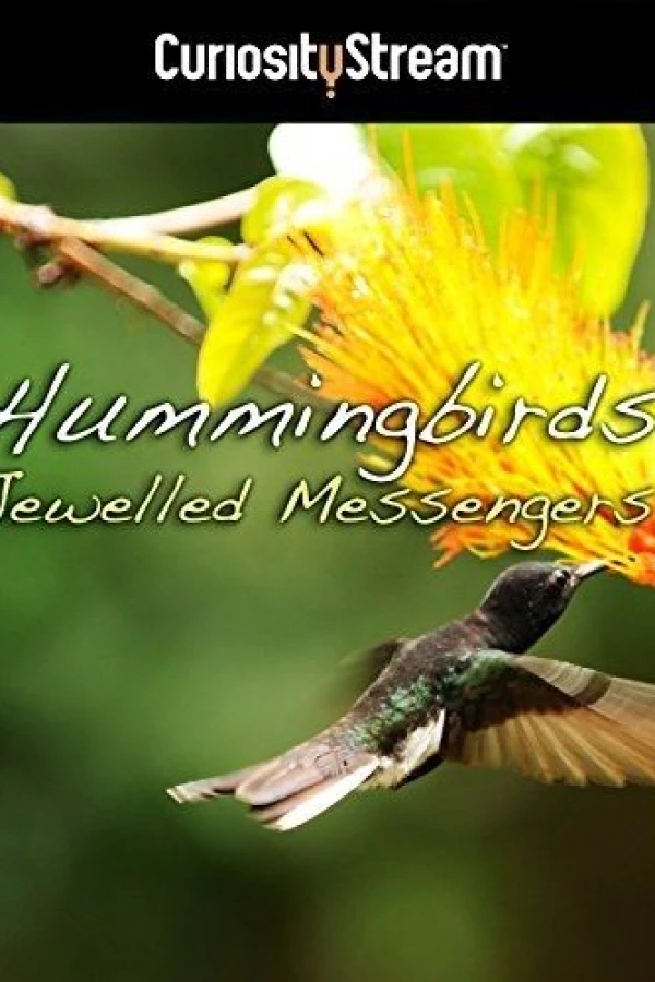 Hummingbirds Jewelled Messengers Póster