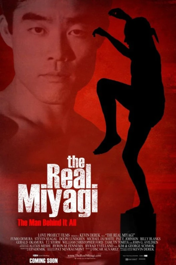 The Real Miyagi Póster