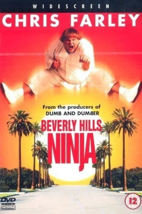 Beverly Hills Ninja Póster