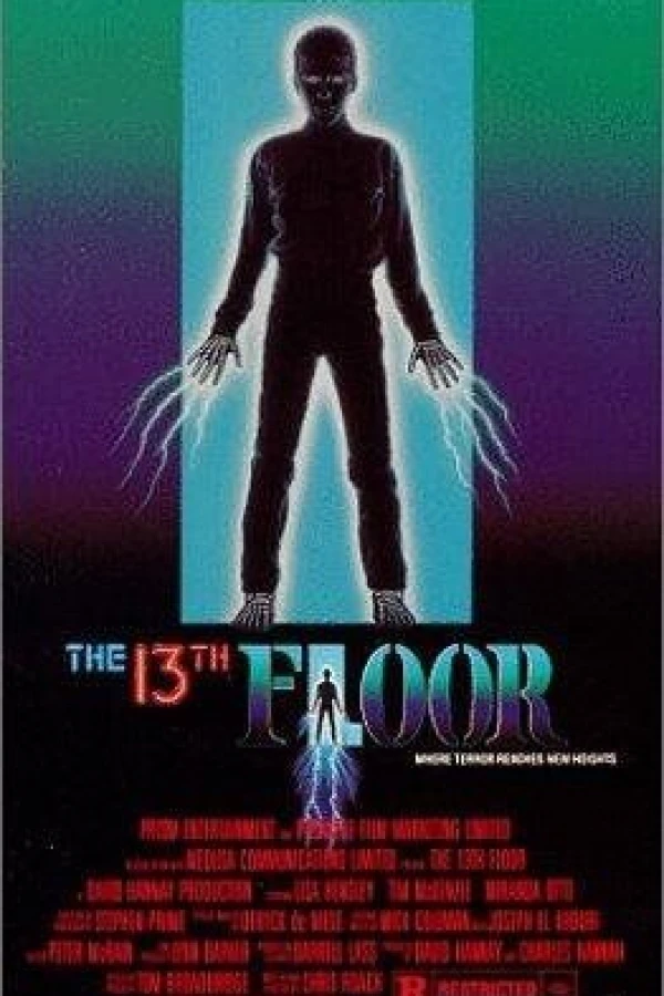 The 13th Floor Póster