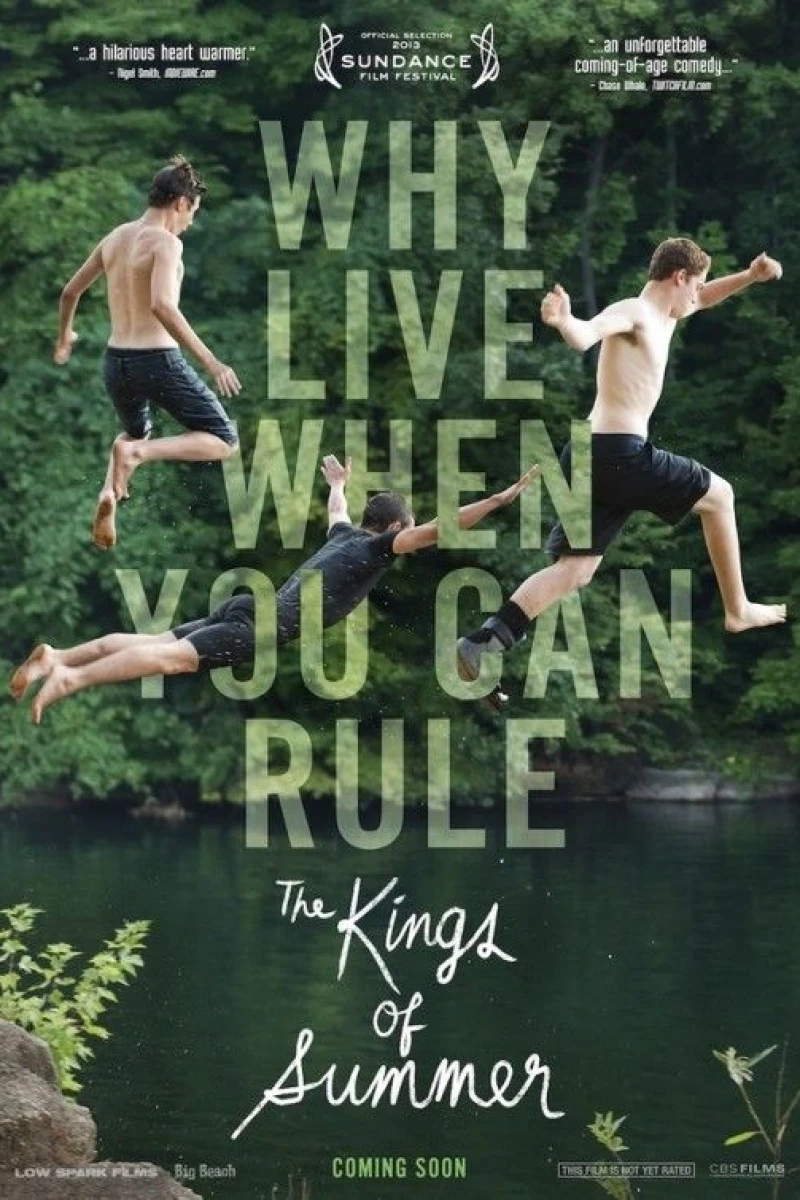 The Kings of Summer Póster