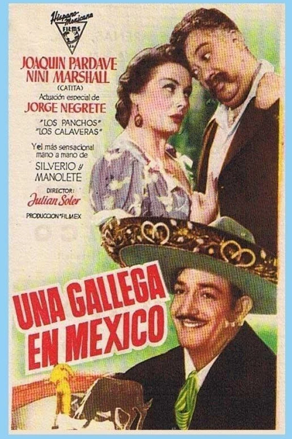 Una gallega en México Póster