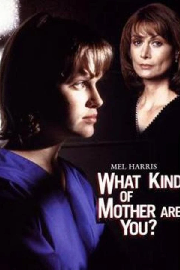 What Kind of Mother Are You? Póster