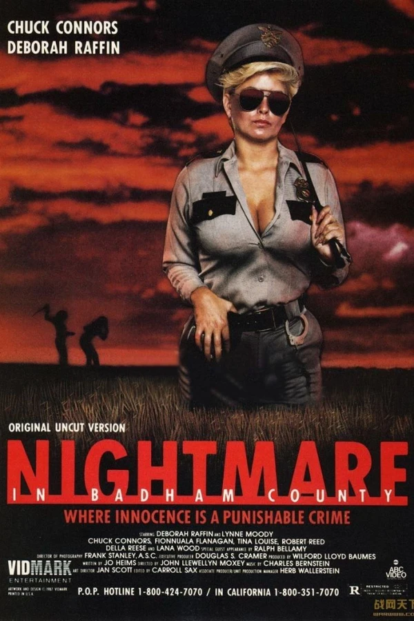Nightmare in Badham County Póster