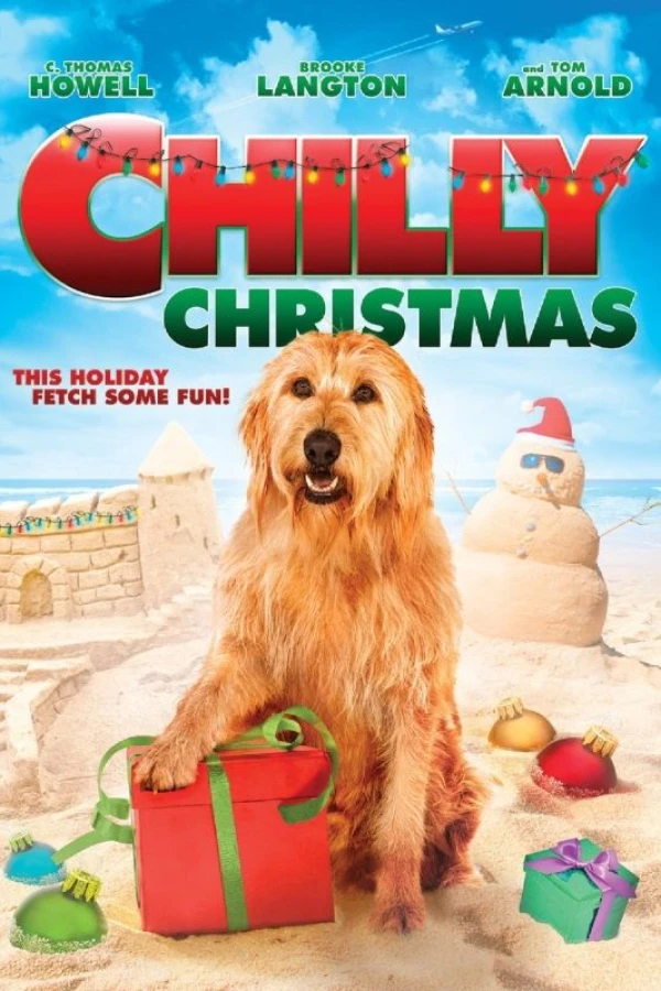 Chilly Christmas Póster